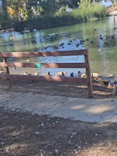 Redlands Dog Park - Redlands, CA