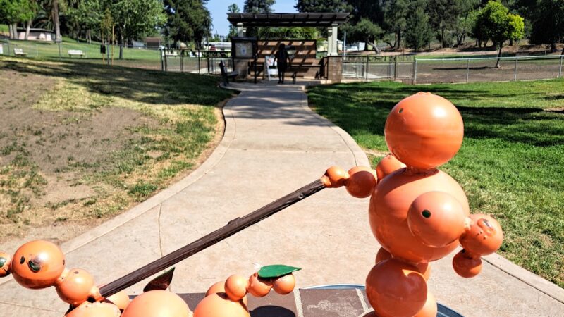 Redlands Dog Park - Redlands, CA