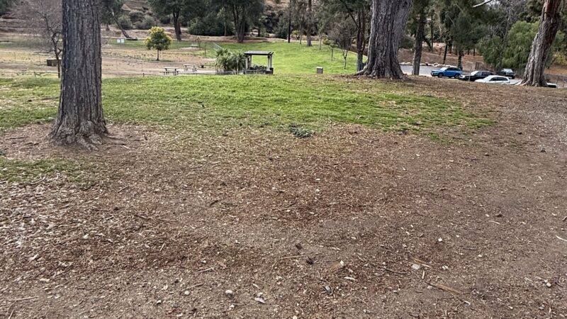 Redlands Dog Park - Redlands, CA