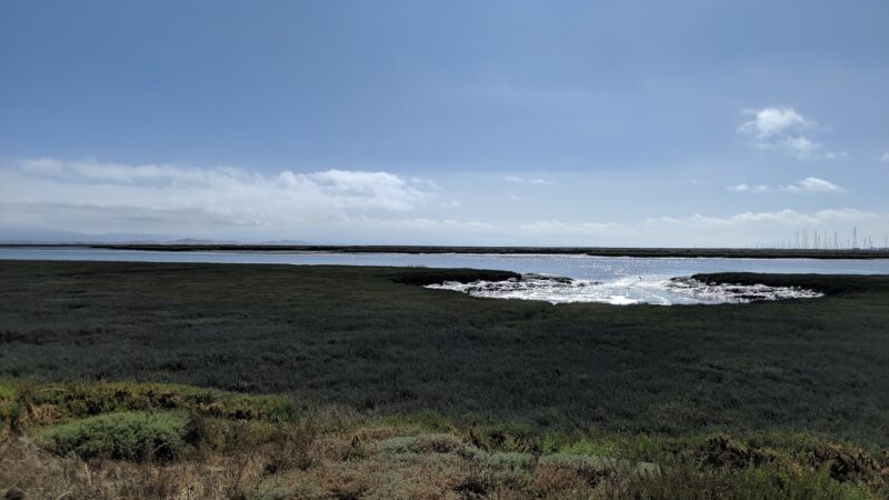 Shore Dogs Park - Redwood City, CA