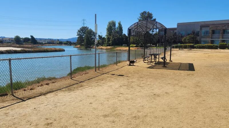 Shore Dogs Park - Redwood City, CA