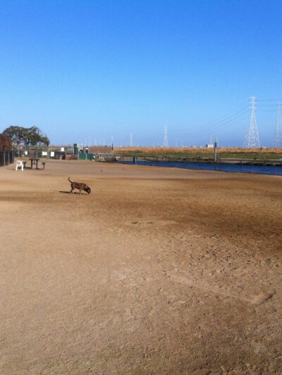 Shore Dogs Park - Redwood City, CA
