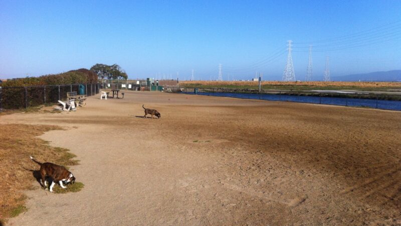 Shore Dogs Park - Redwood City, CA