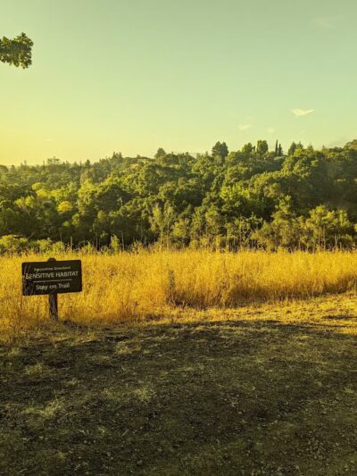 Stulsaft Park - Redwood City, CA