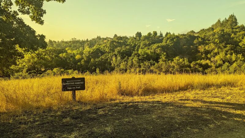 Stulsaft Park - Redwood City, CA