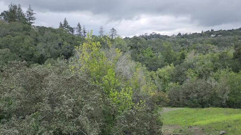 Stulsaft Park - Redwood City, CA