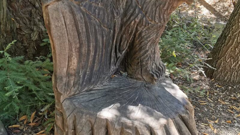 Stulsaft Park - Redwood City, CA