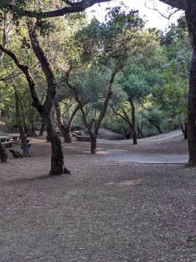 Stulsaft Park - Redwood City, CA