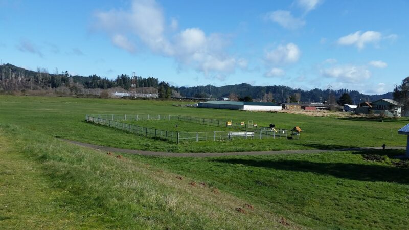 Champion Dog Park - Reedsport, OR