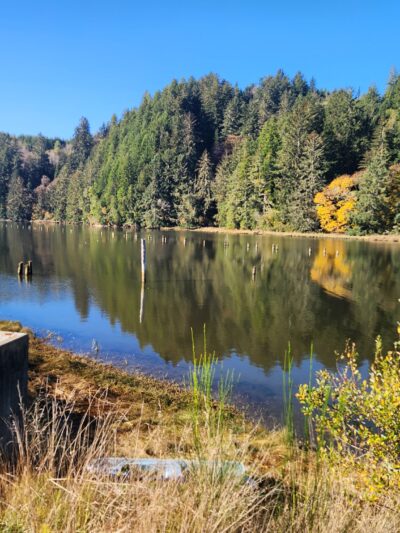 Champion Dog Park - Reedsport, OR