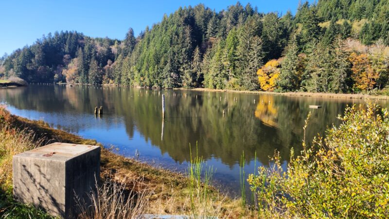 Champion Dog Park - Reedsport, OR