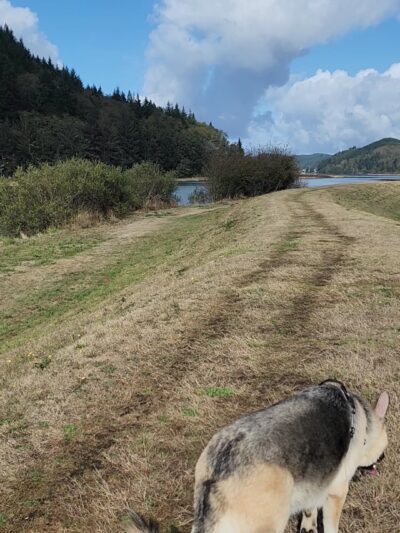 Champion Dog Park - Reedsport, OR