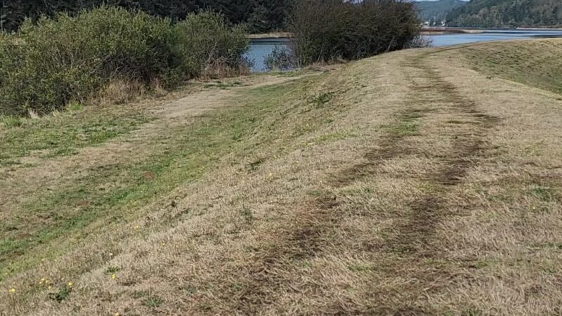 Champion Dog Park - Reedsport, OR