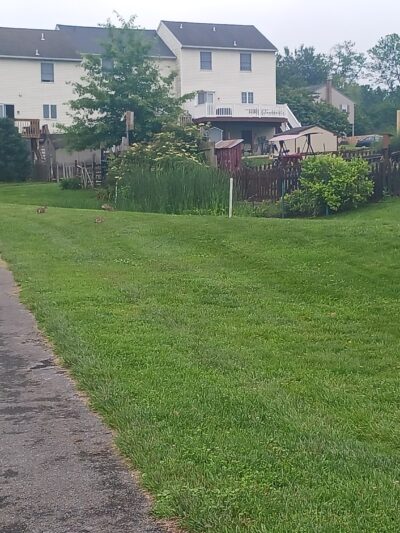 Chapel Gate Park - Reinholds, PA