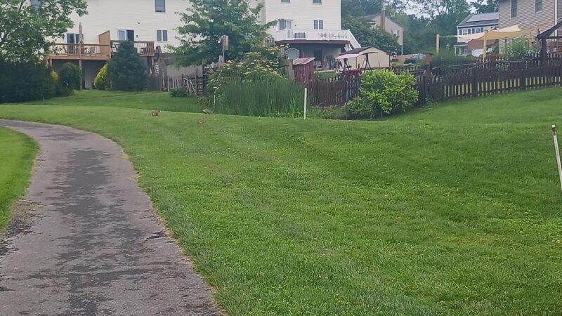 Chapel Gate Park - Reinholds, PA