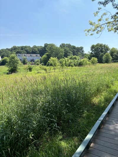 Chapel Gate Park - Reinholds, PA