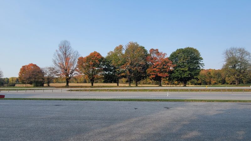 Adirondack Foothills Visitor Center - Remsen, NY