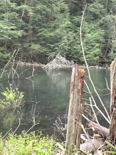 Lake Julia Preserve - Remsen, NY