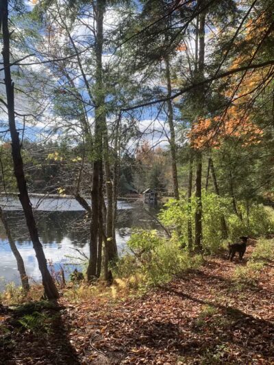Lake Julia Preserve - Remsen, NY