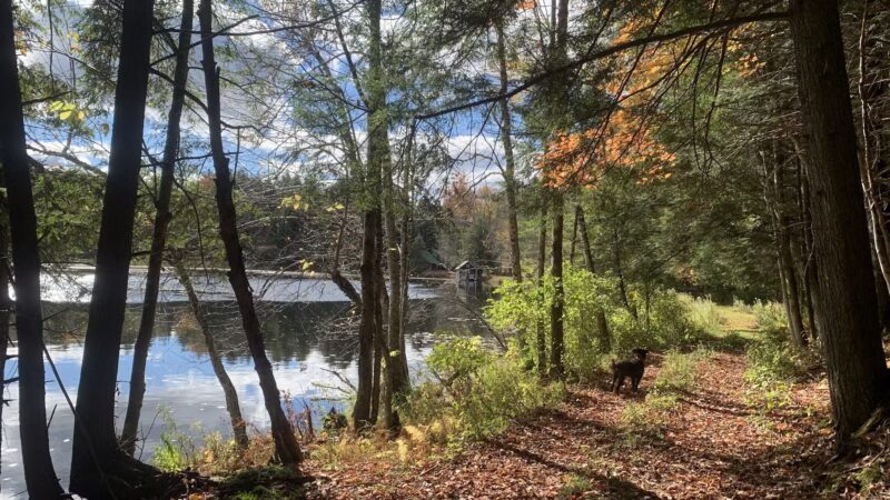 Lake Julia Preserve - Remsen, NY