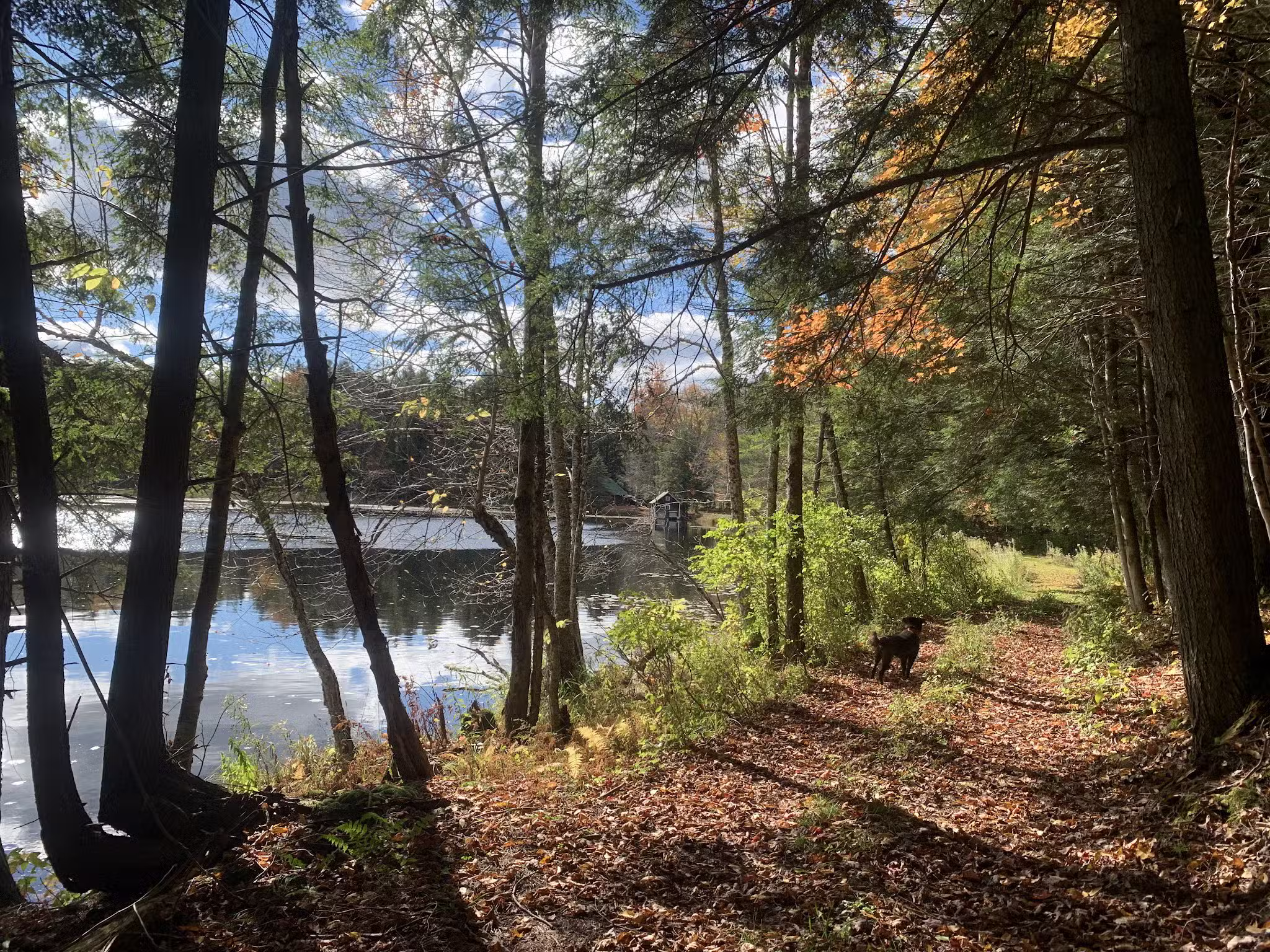 Lake Julia Preserve - Remsen, NY