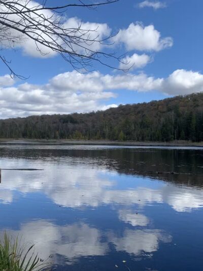 Lake Julia Preserve - Remsen, NY