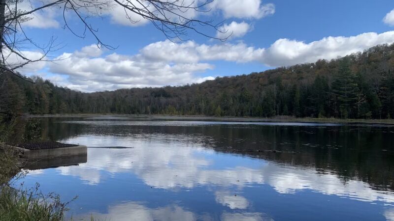 Lake Julia Preserve - Remsen, NY