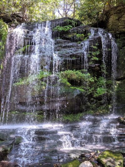 Wolf Brook Multiple Use Area - Remsen, NY