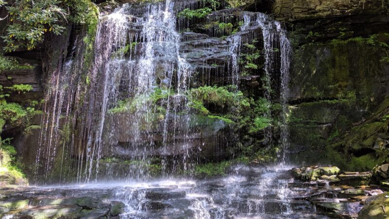 Wolf Brook Multiple Use Area - Remsen, NY