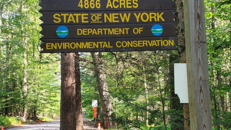 Wolf Brook Multiple Use Area - Remsen, NY