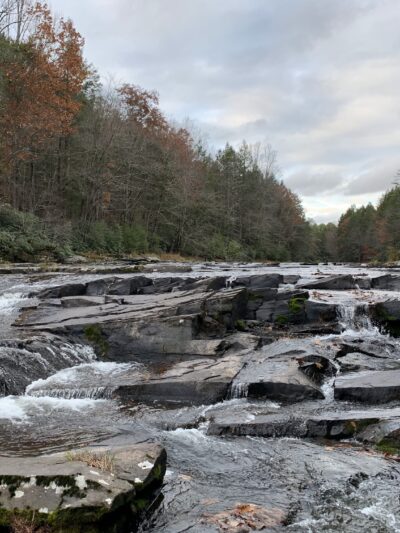 Wolf Brook Multiple Use Area - Remsen, NY