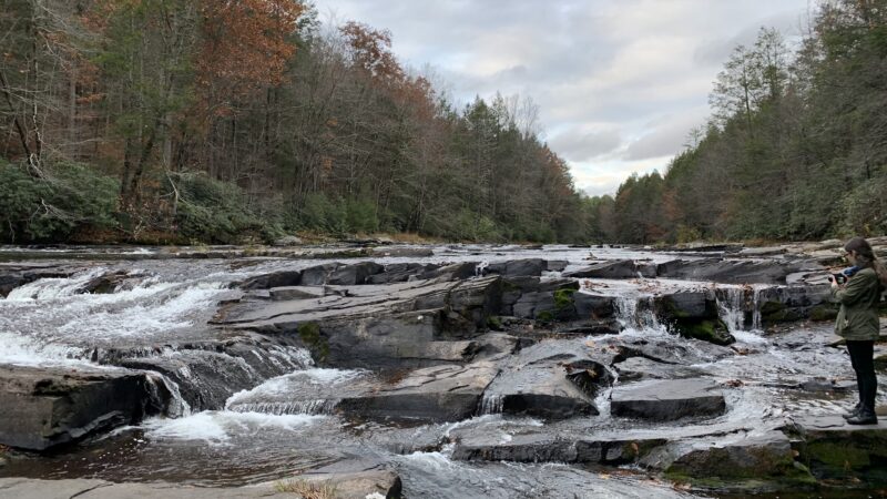 Wolf Brook Multiple Use Area - Remsen, NY