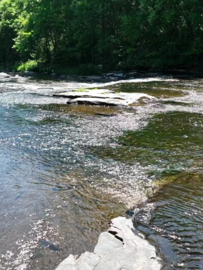 Wolf Brook Multiple Use Area - Remsen, NY