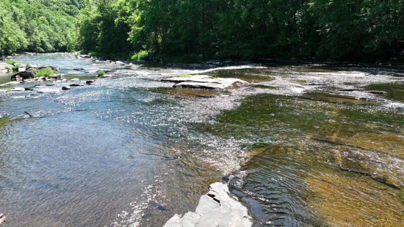 Wolf Brook Multiple Use Area - Remsen, NY