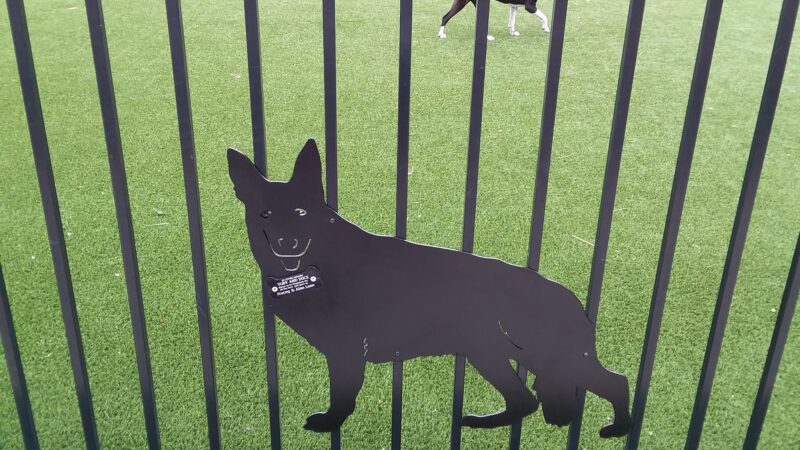 Biggest Little Dog Park - Reno, NV