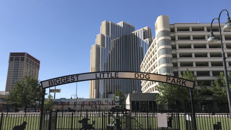 Biggest Little Dog Park - Reno, NV