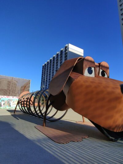 Biggest Little Dog Park - Reno, NV