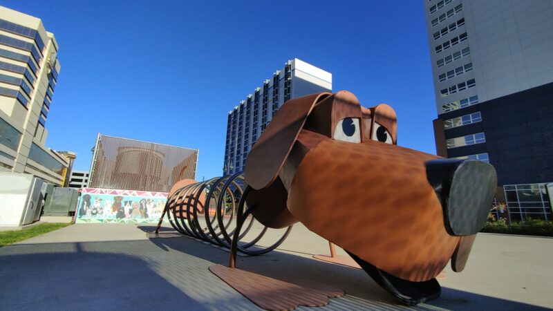 Biggest Little Dog Park - Reno, NV