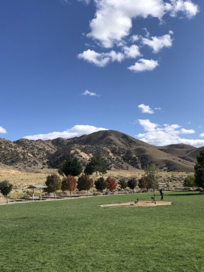 Link Piazzo Dog Park - Reno, NV
