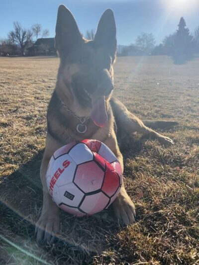Rancho San Rafael Off-Leash Dog Park - Reno, NV
