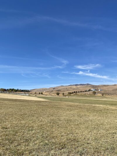 Rancho San Rafael Off-Leash Dog Park - Reno, NV
