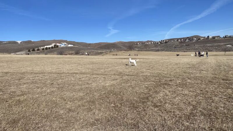 Rancho San Rafael Off-Leash Dog Park - Reno, NV