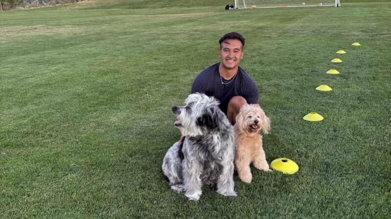 South Valleys Dog Park - Reno, NV