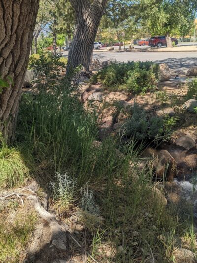 South Valleys Dog Park - Reno, NV