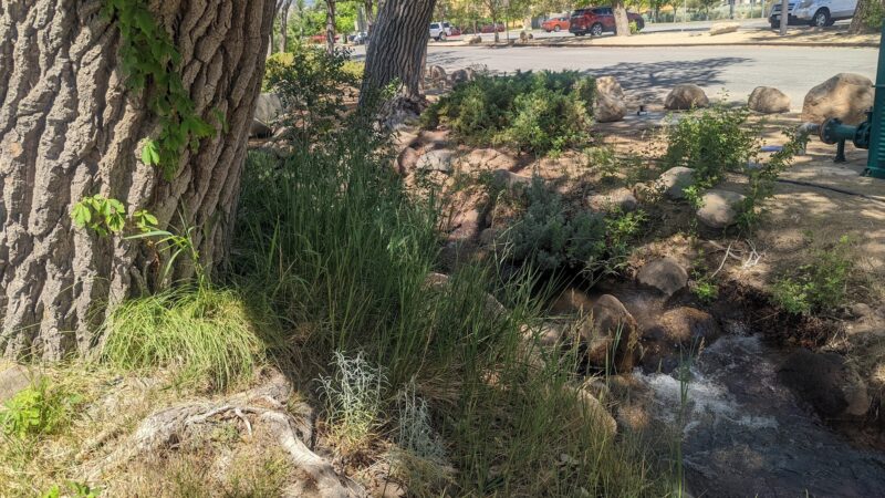 South Valleys Dog Park - Reno, NV