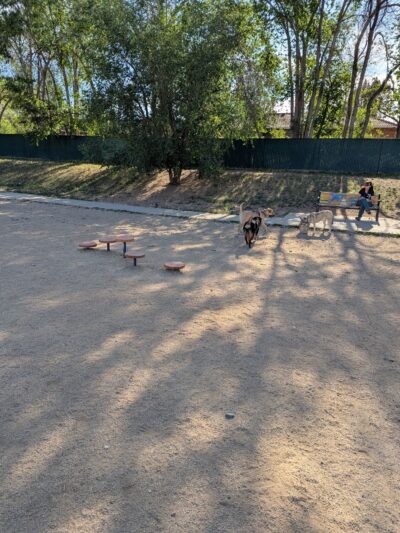 Virginia Lake Dog Park - Reno, NV