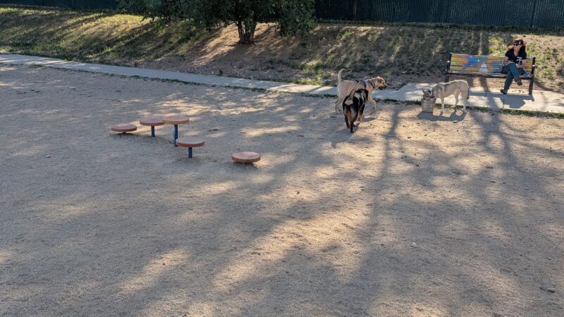 Virginia Lake Dog Park - Reno, NV