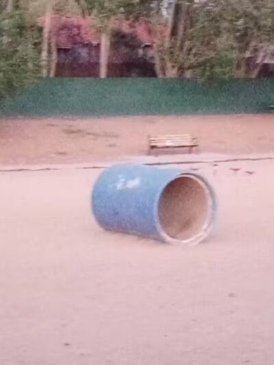 Virginia Lake Dog Park - Reno, NV