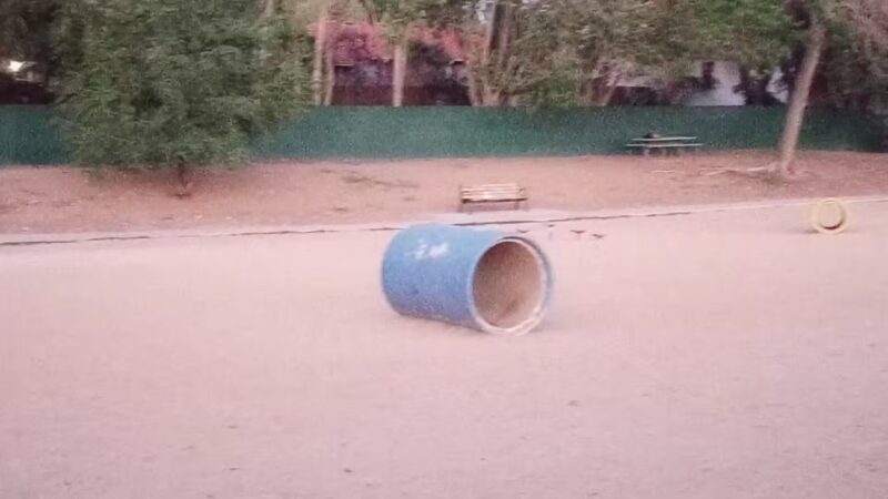 Virginia Lake Dog Park - Reno, NV