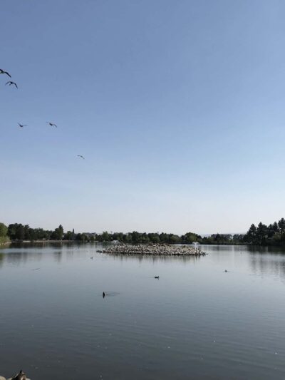 Virginia Lake Dog Park - Reno, NV